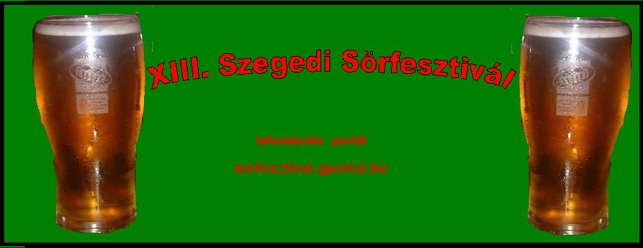 XIII. Szegedi Srfesztivl - Alcohol 119.9% !!!